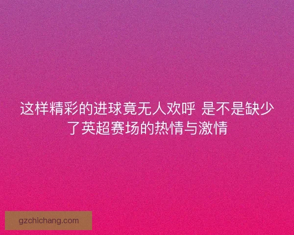 这样精彩的进球竟无人欢呼 是不是缺少了英超赛场的热情与激情