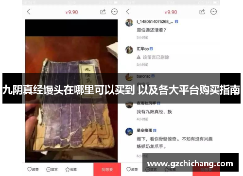 九阴真经馒头在哪里可以买到 以及各大平台购买指南