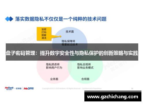 盘子密码管理：提升数字安全性与隐私保护的创新策略与实践
